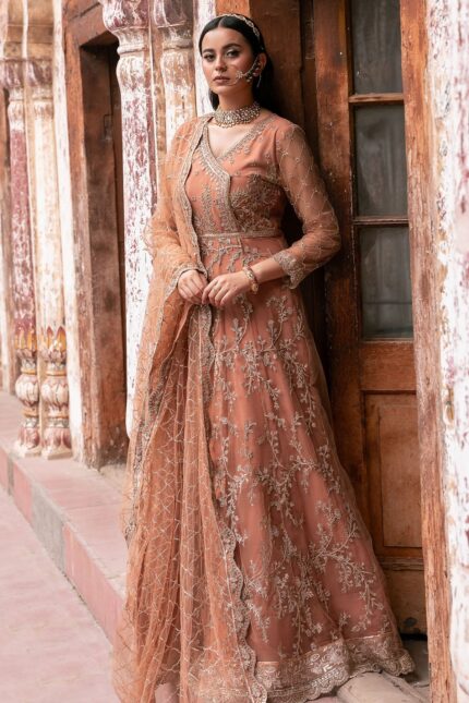 4820-MANHA EMBROIDERED SILK NET STITCHED